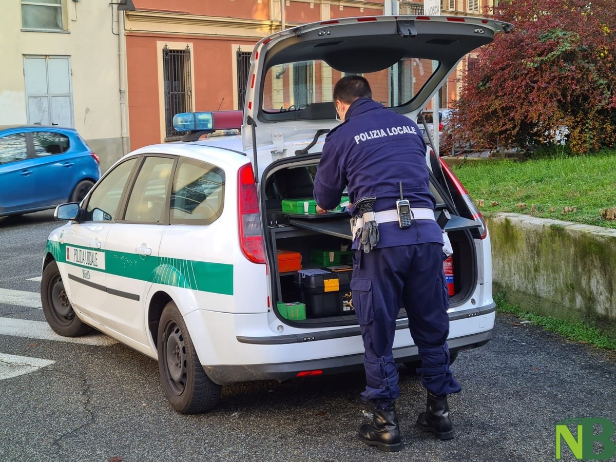 Biella Polizia Locale Ferma Un Uomo In Moto Senza Patente E Un Veicolo