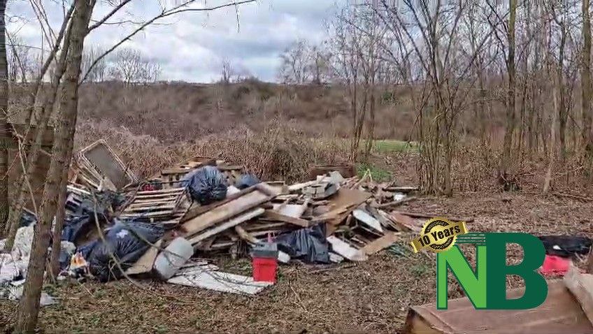 Valanga Di Rifiuti Nei Campi Di Vigliano Una Discarica Abusiva A Cielo