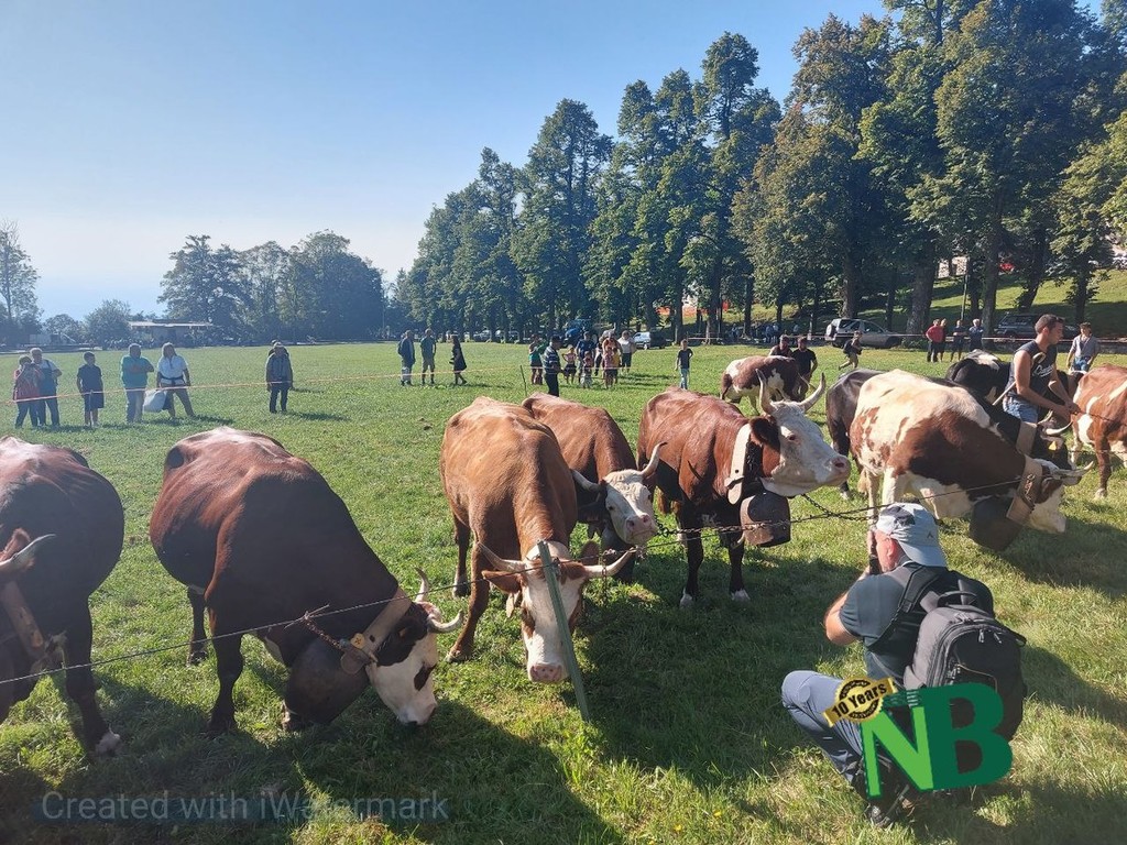 Centinaia Di Visitatori Alla Fiera Di San Bartolomeo A Oropa Sfilano