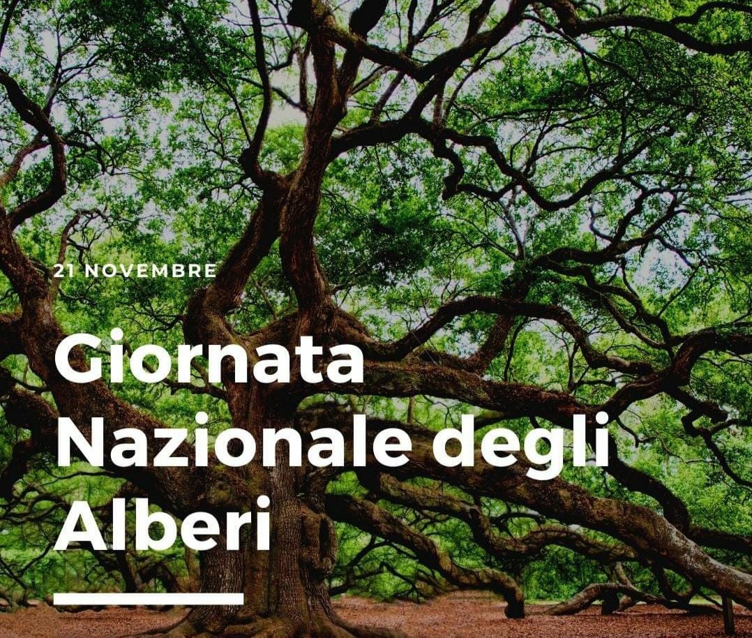 Enigmistica per la Giornata nazionale degli alberi (21 novembre