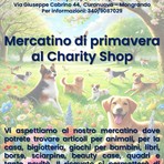 Tenetevi pronti! arriva il mercatino di primavera per aiutare i pelosi di Bulli e Pupe con la Coda ODV