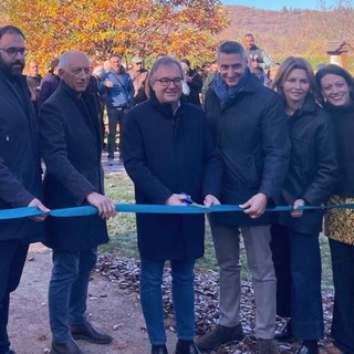 Regione e università inaugurano in Piemonte la filiera del castagno a emmissioni zero