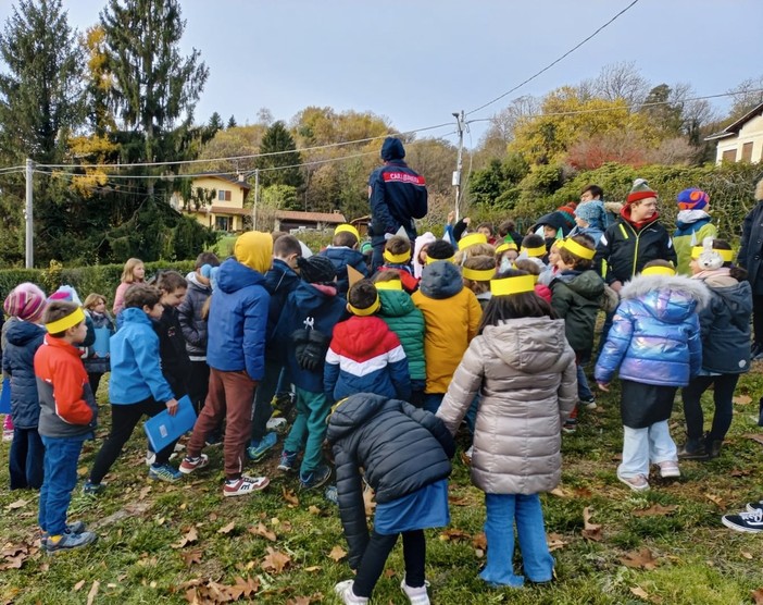 giornata alberi