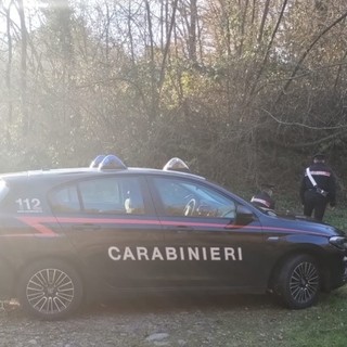 Sorvegliato Speciale alla guida di un'auto con patente revocata acquista droga in Valle Elvo: arrestato dai Carabinieri