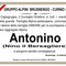 Antonino (Nino il Bersagliere) - Partecipazione