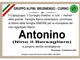 Antonino (Nino il Bersagliere) - Partecipazione