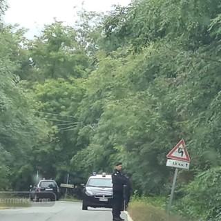 Intensa attività dei Carabinieri nei boschi di Masserano - Foto Ciccarelli per newsbiella.it