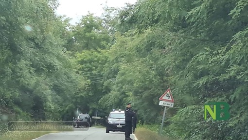 Intensa attività dei Carabinieri nei boschi di Masserano - Foto Ciccarelli per newsbiella.it