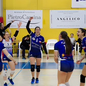 pallavolo gara