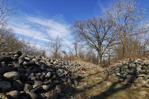 Candelo tra natura e cultura: una serata dedicata a Baragge, Bessa e Burcina