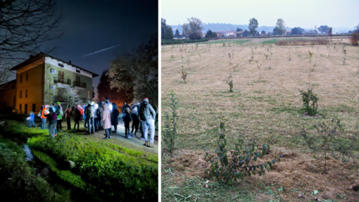 Vigliano Biellese, da terreno agricolo a bosco rigoglioso: quattromila alberi per la biodiversità.