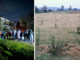 Vigliano Biellese, da terreno agricolo a bosco rigoglioso: quattromila alberi per la biodiversità.