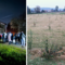 Vigliano Biellese, da terreno agricolo a bosco rigoglioso: quattromila alberi per la biodiversità.