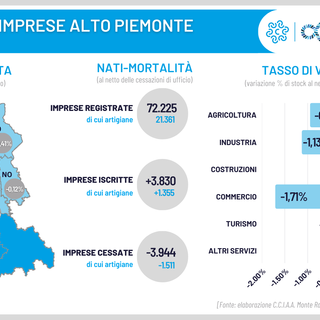 biella camera commercio