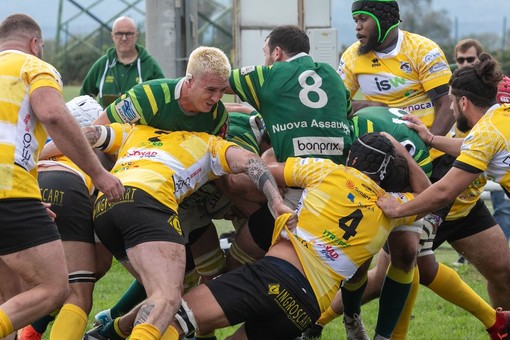 biella rugby