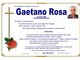 Gaetano Rosa