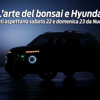 Alberi bonsai e Hyundai Inster: l’arte della compattezza in un’esperienza straordinaria!