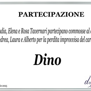 Dino - Partecipazione