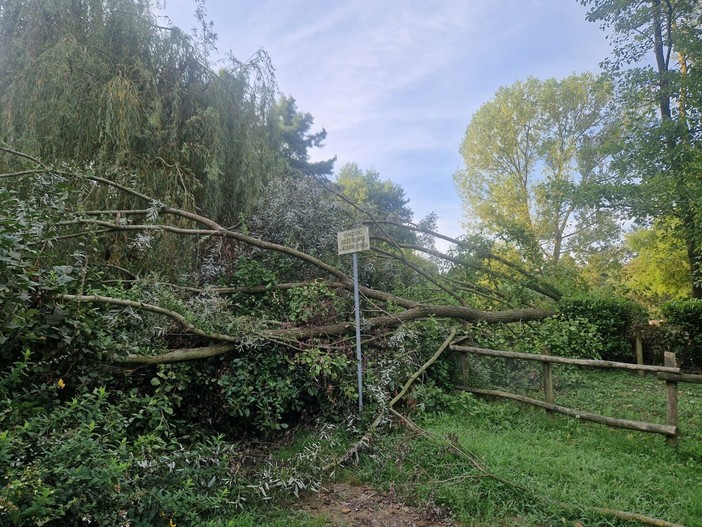 Chiavazza: Parco delle oche dimenticato nel più completo abbandono FOTO