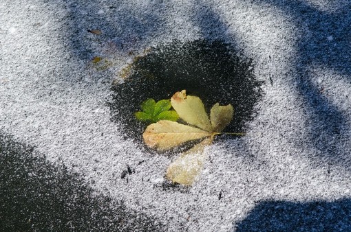 Belle immagini della neve in Burcina scattate da Paolo Selva Bonino