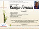 Remigio Ferracin