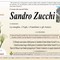 Sandro Zucchi