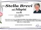 Stella Brevi ved. Pellegrini