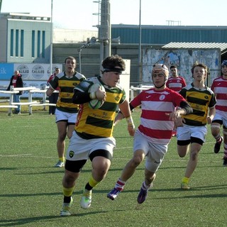 biella rugby