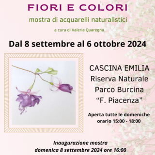 “Fiori e Colori” a Cascina Emilia: presentata la mostra di acquerelli naturalistici.