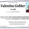 Valentino Gobber