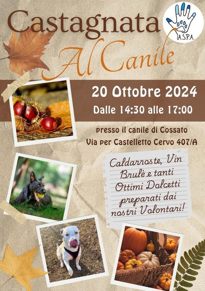 Castagnata al Canile di Cossato domani 20 ottobre