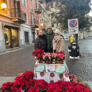 natale biella