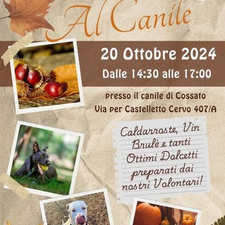 Castagnata al Canile di Cossato domani 20 ottobre