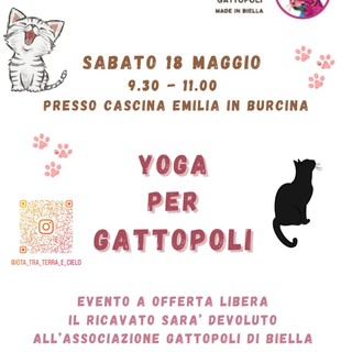 Yoga per Gattopoli: in Burcina l’evento benefico a sostegno degli animali.