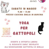Yoga per Gattopoli: in Burcina l’evento benefico a sostegno degli animali.