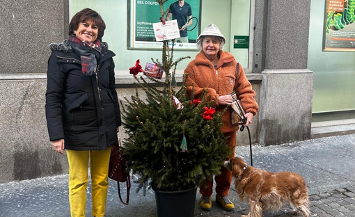 biella adotta albero