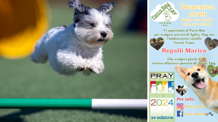 Pray: Agility Dog al Parco Bau, in compagnia dell'addestratrice cinofila Marica Regalli.