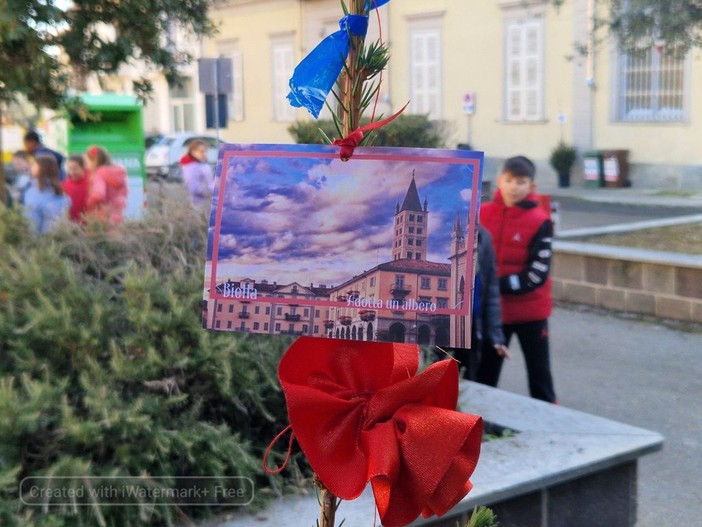 Sabato tutti in piazza Vittorio Veneto per adottare un albero