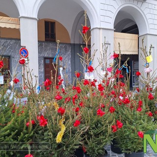 'Adotta un albero' al via l'iniziativa con la cerimonia inaugurale - Foto e Video Rasolo per newsbiella.it