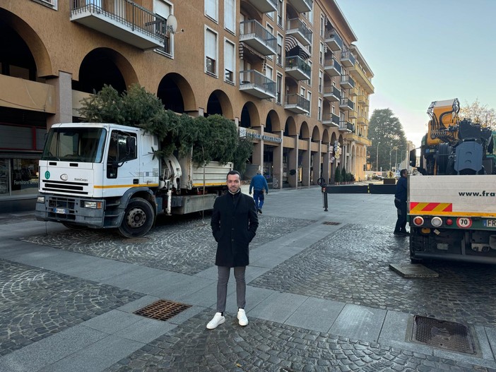 Biella, si avvicina il Natale: in piazza Vittorio Veneto l'albero di 10 metri che sarà acceso il 7 dicembre