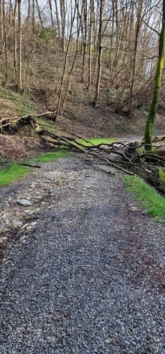 Parco del Bellone, pianta a terra e passaggio bloccato