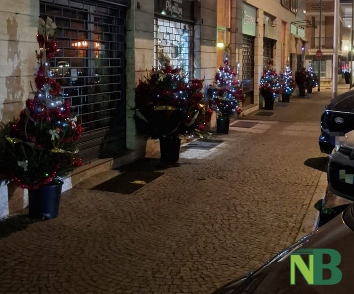 Natale a Biella è anche alberi decorati dai commercianti di via Delleani per un'iniziativa sostenibile