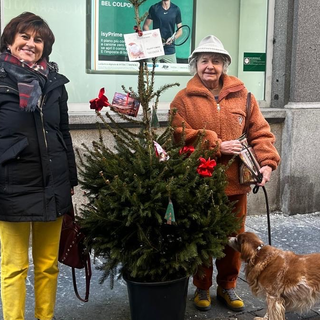 biella adotta albero