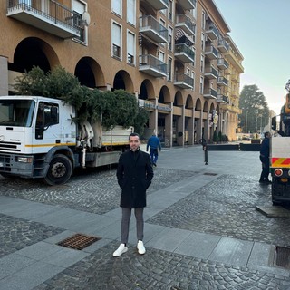 Biella, si avvicina il Natale: in piazza Vittorio Veneto l'albero di 10 metri che sarà acceso il 7 dicembre