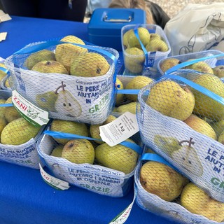 ABIO in piazza a Biella per la ventesima giornata nazionale