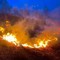 Esteso incendio all'Alpe Cavanna, ogni anno si ripete lo stesso scenario - Foto repertorio