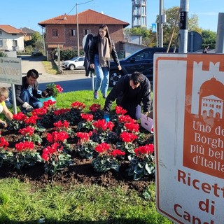 Ciclamini, tulipani e viole da parte di Avis Biella, per accogliere i visitatori del Borgo di Babbo Natale a Candelo