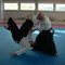 Aikido, riprendono le attività e segnatevi l'open day!