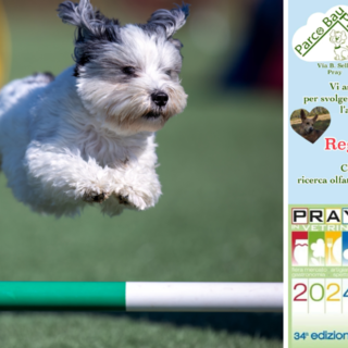 Pray: Agility Dog al Parco Bau, in compagnia dell'addestratrice cinofila Marica Regalli.