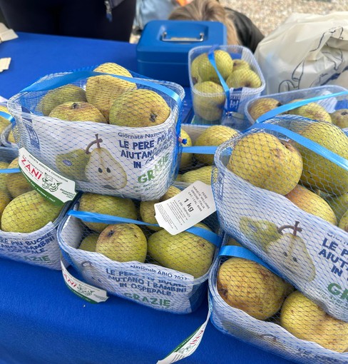 ABIO in piazza a Biella per la ventesima giornata nazionale